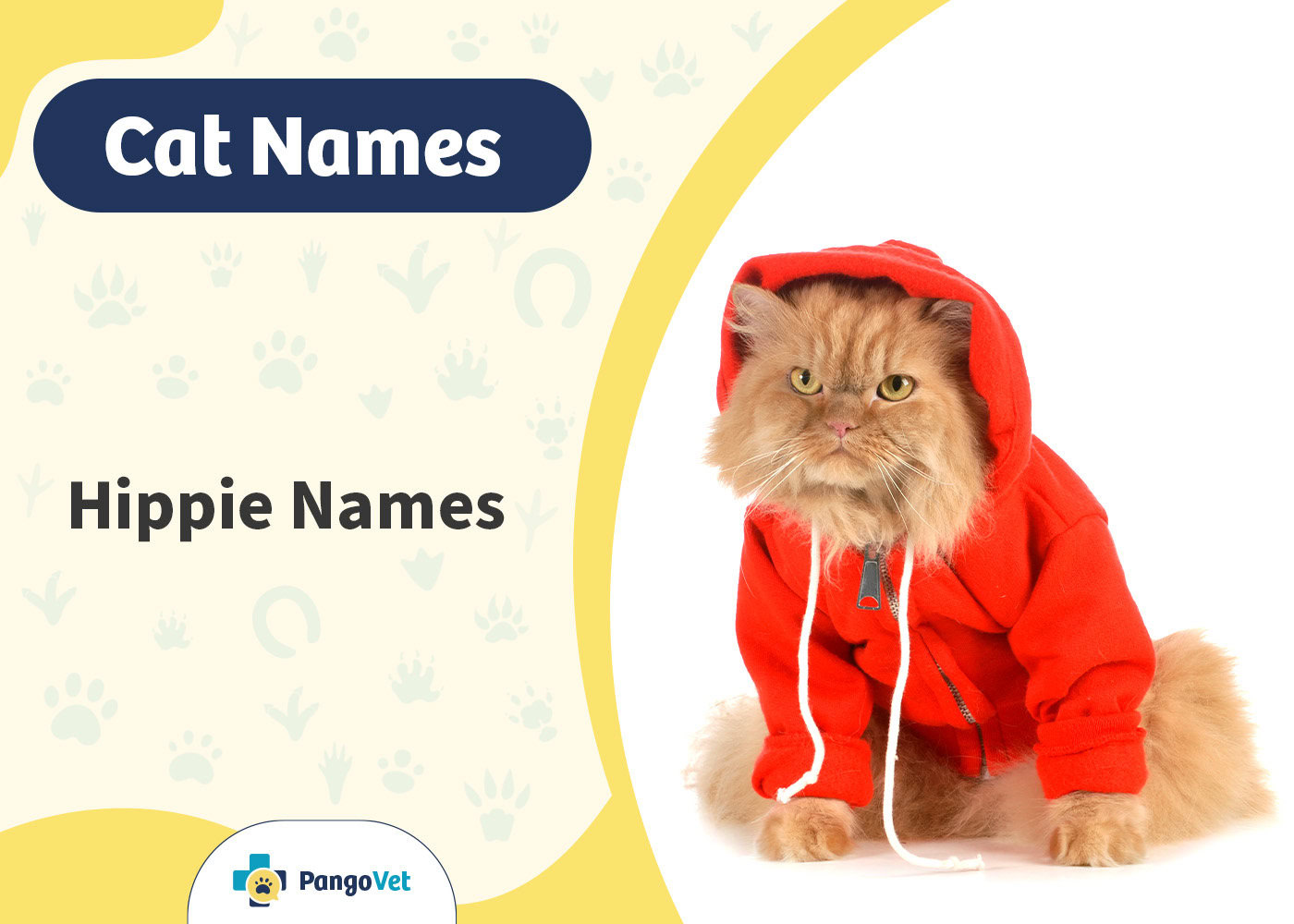 PangoVet_Hippie Cat Names