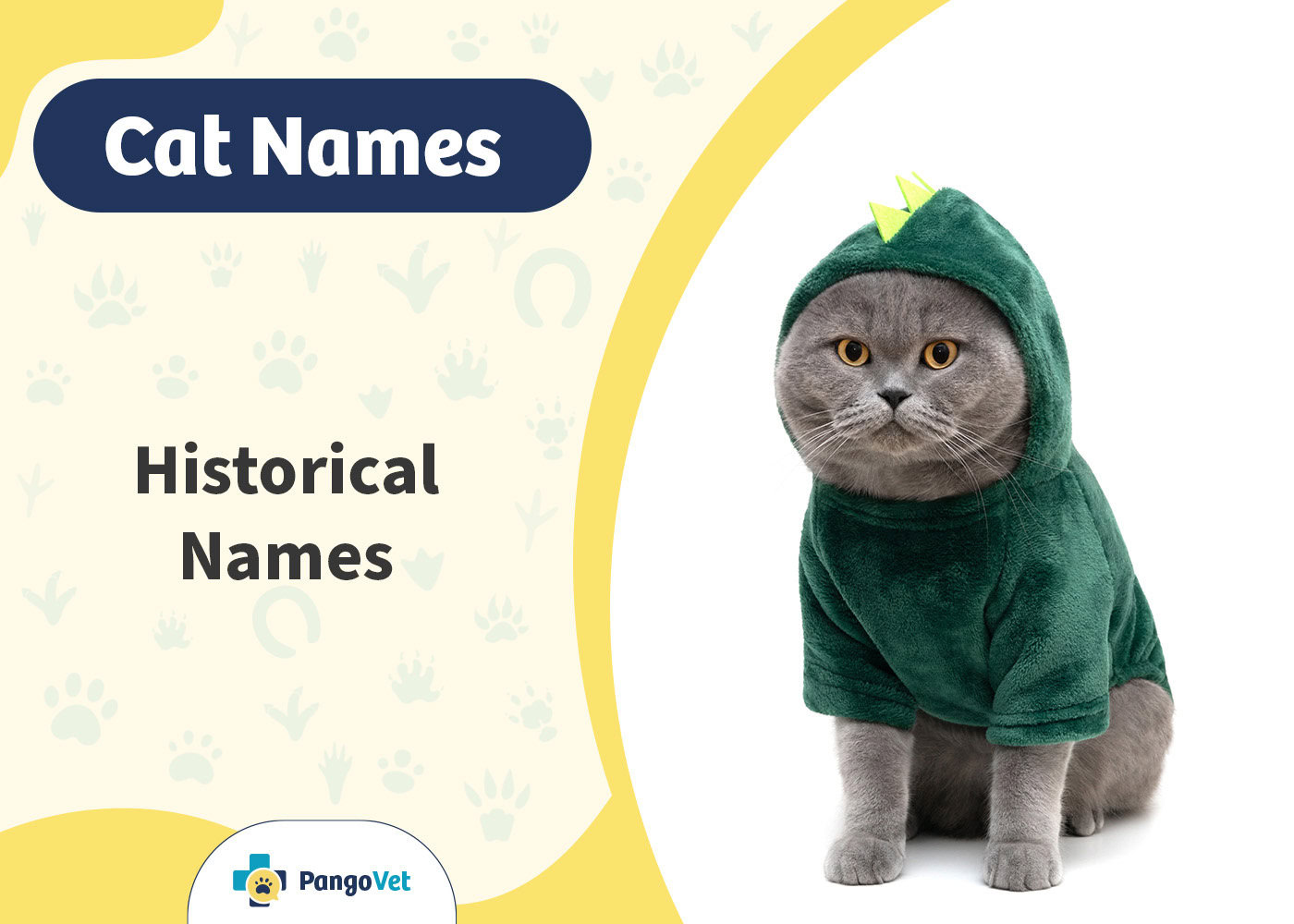 PangoVet_Historical Cat Names