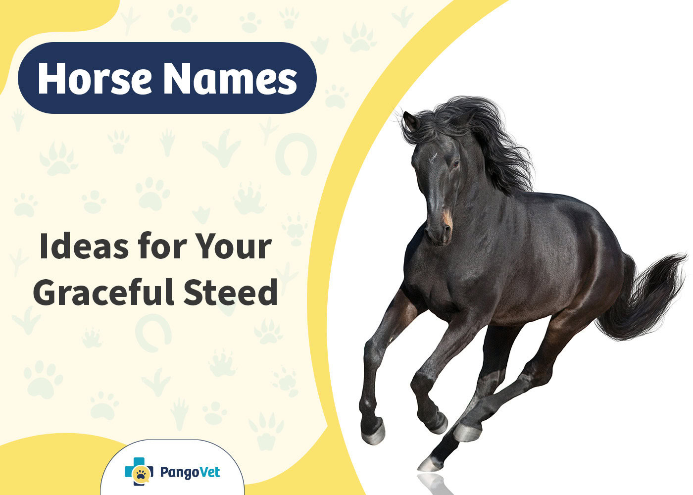 PangoVet_Horse Names