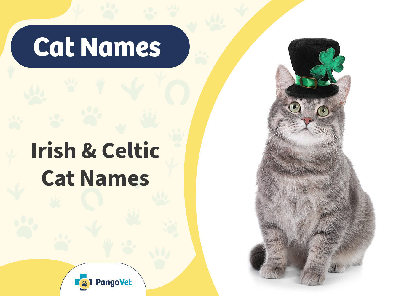 PangoVet_Irish & Celtic Cat Names