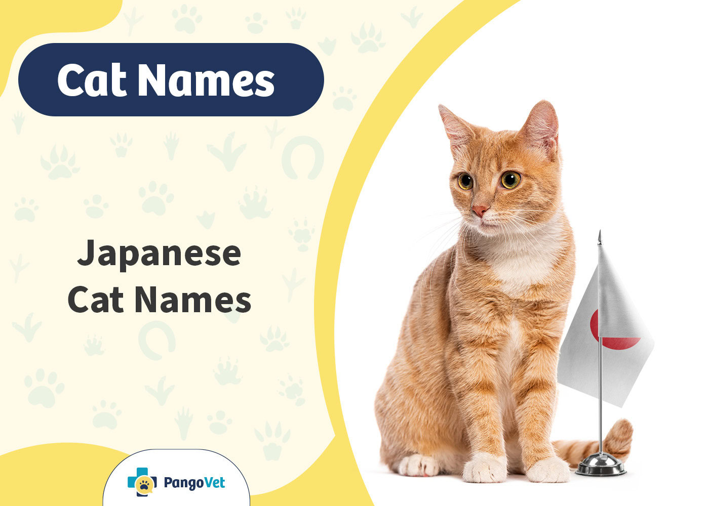 PangoVet_Japanese Cat Names
