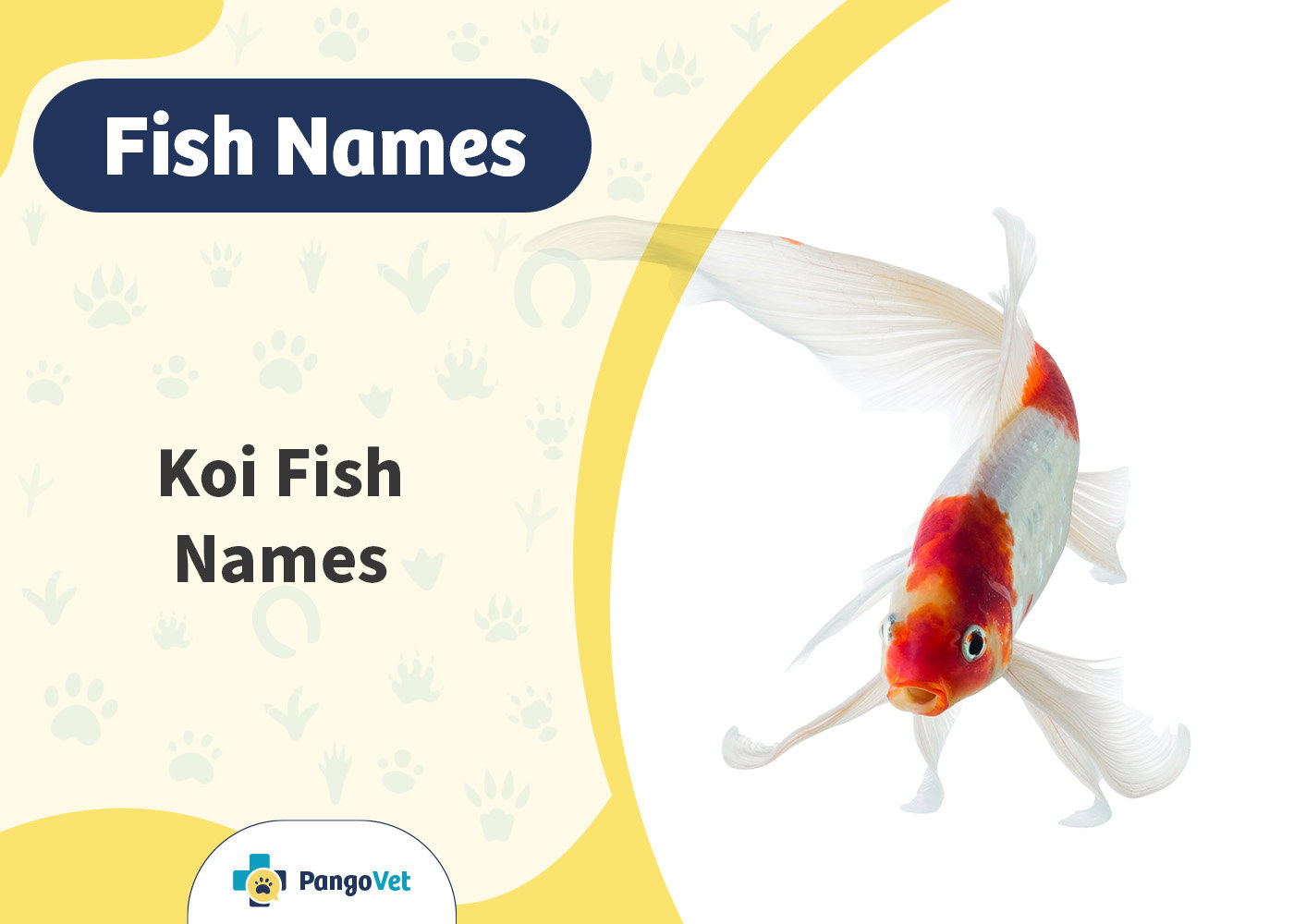 PangoVet_Koi Fish Names