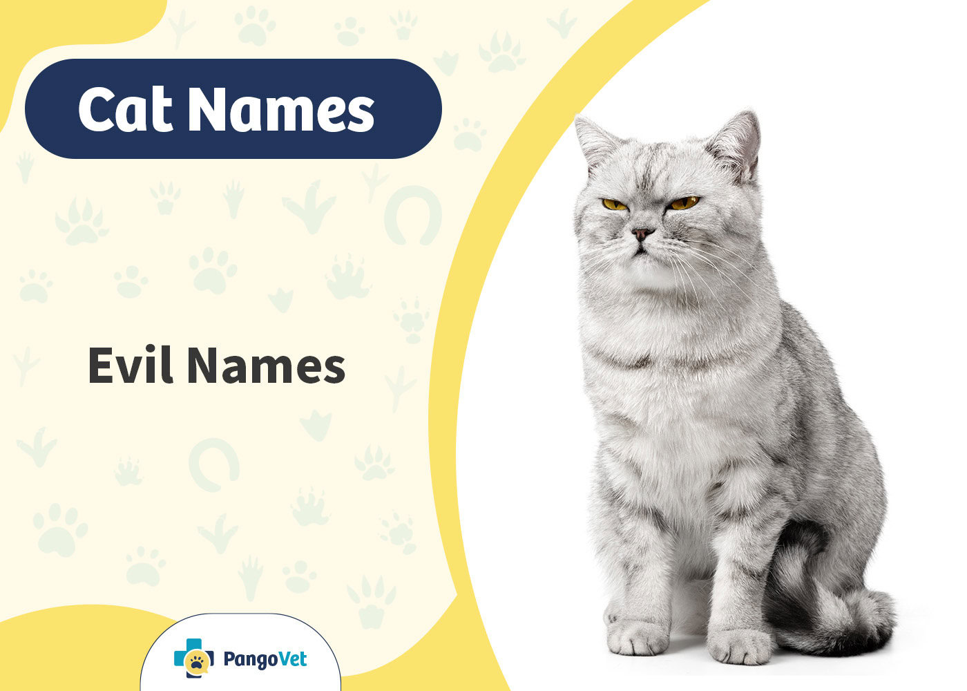 PangoVet_Evil Cat Names