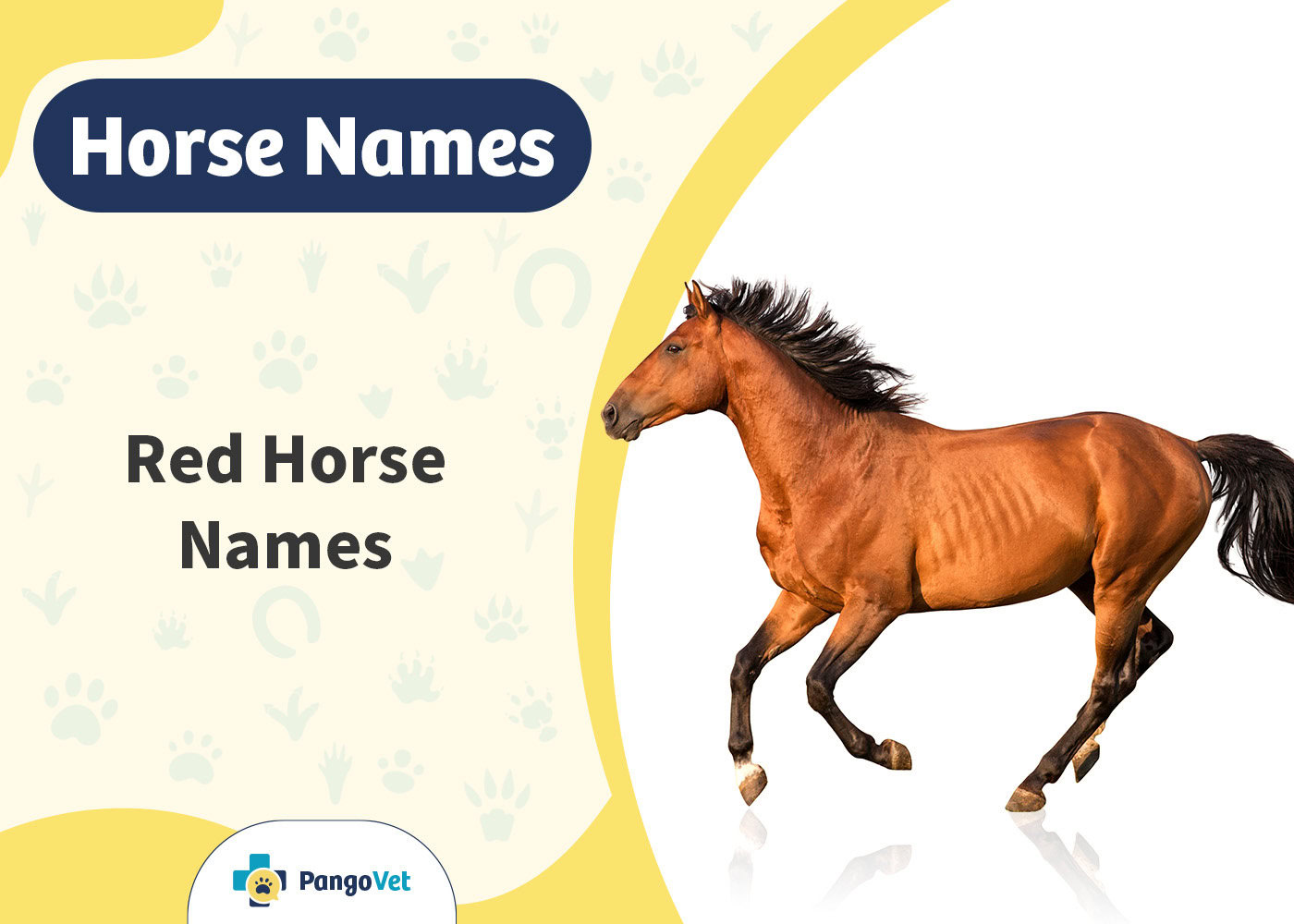 PangoVet_Red Horse Names