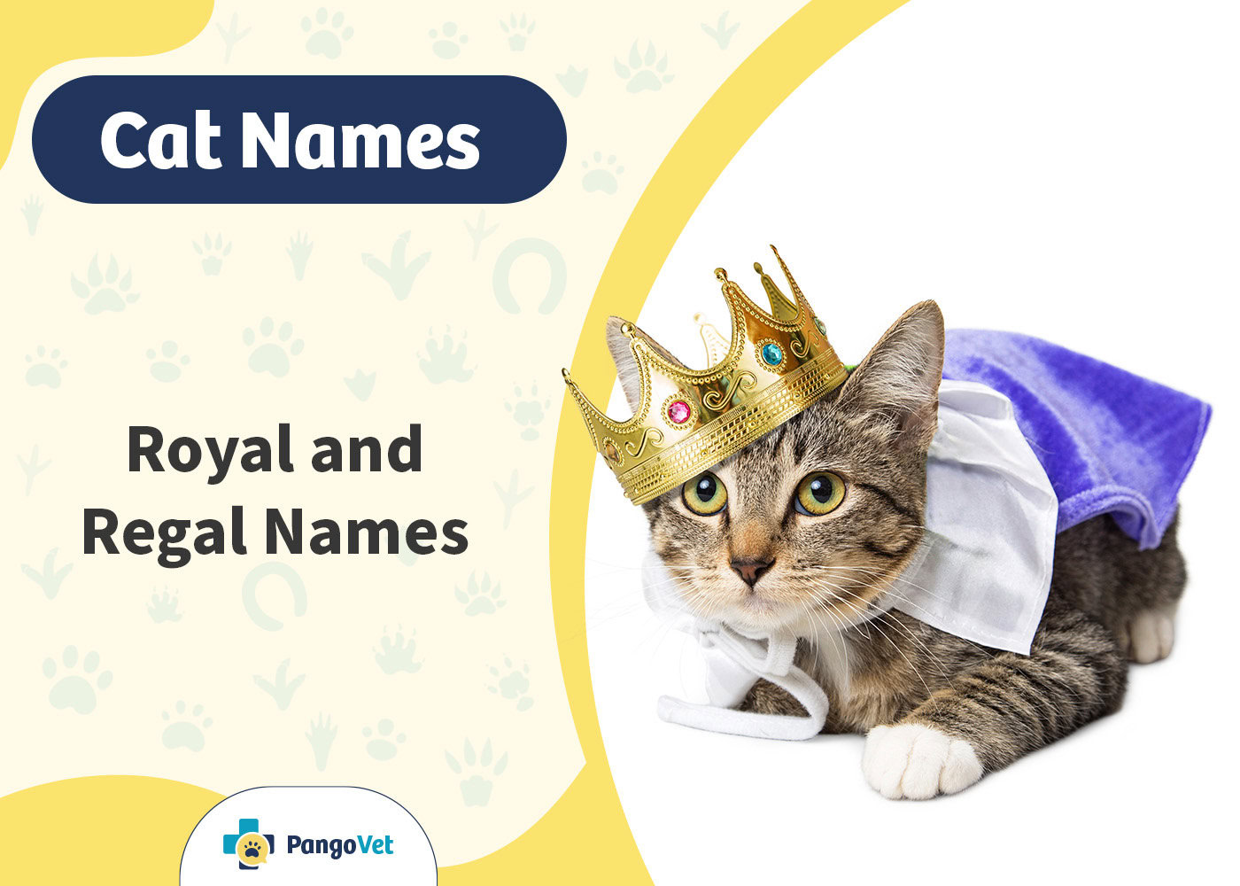PangoVet_Royal & Regal Cat Names