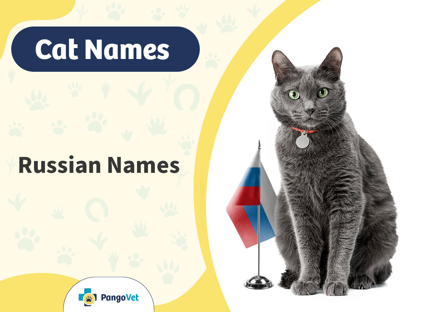 PangoVet_Russian Cat Names