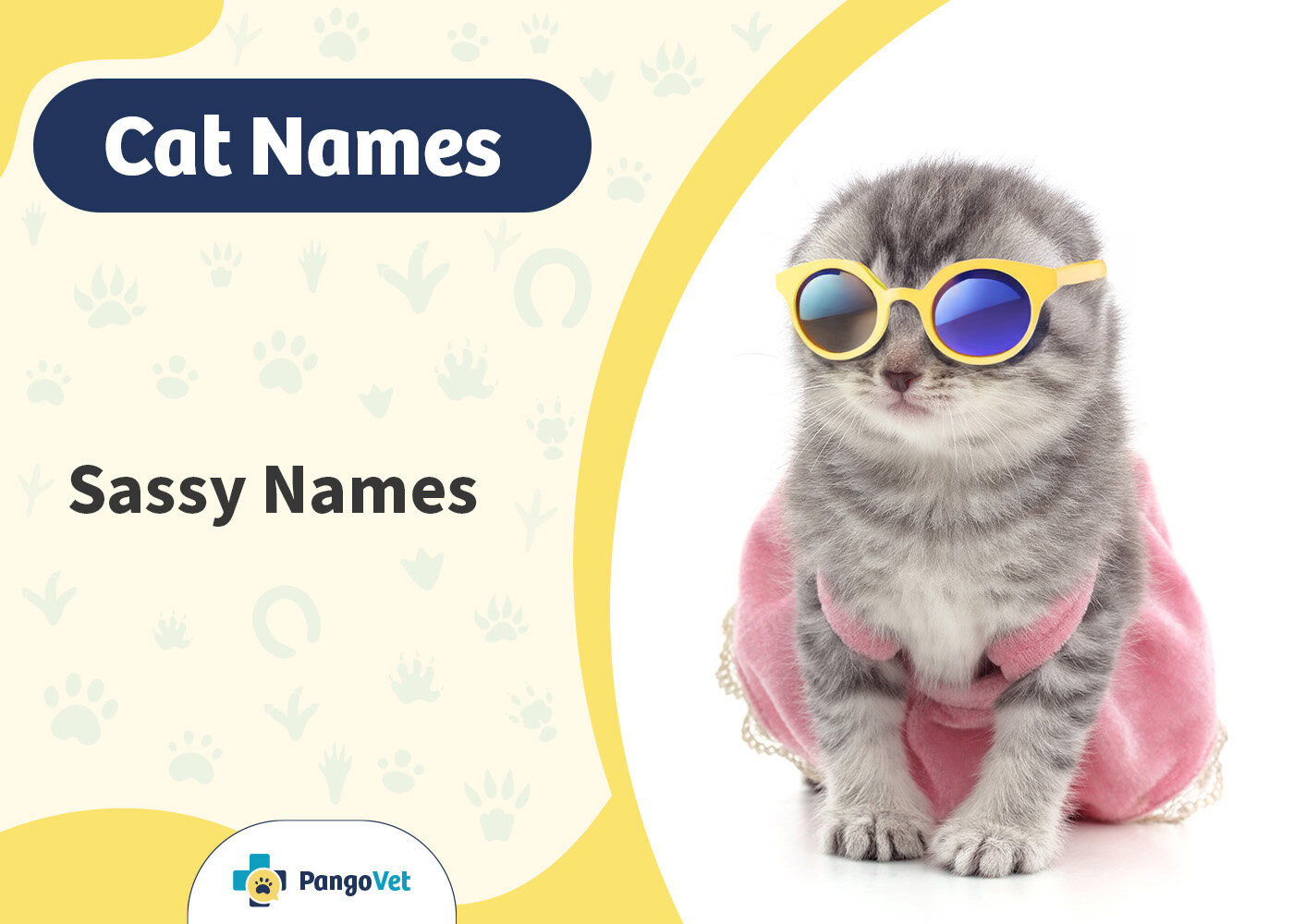 PangoVet_Sassy Cat Names