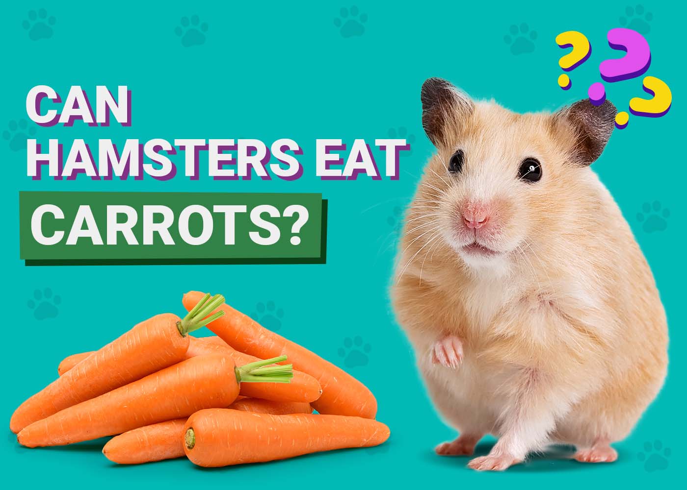 Hamster Cage Can Robo Dwarf Hamsters Eat Carrots What Can Hamsters Eat?  PetMD