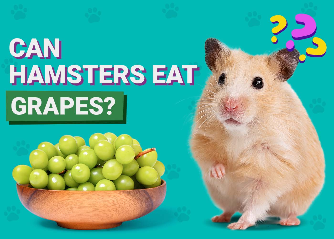 Can Hamsters Eat Blueberries: Safe, Healthy, and Tasty Treats?