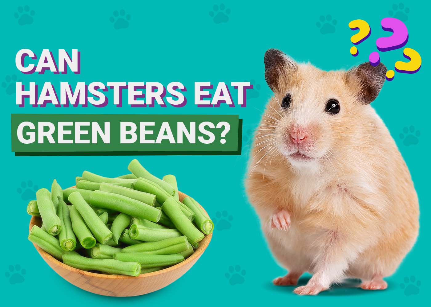 Can Hamsters Eat Green Beans? Our Vet Explains | PangoVet