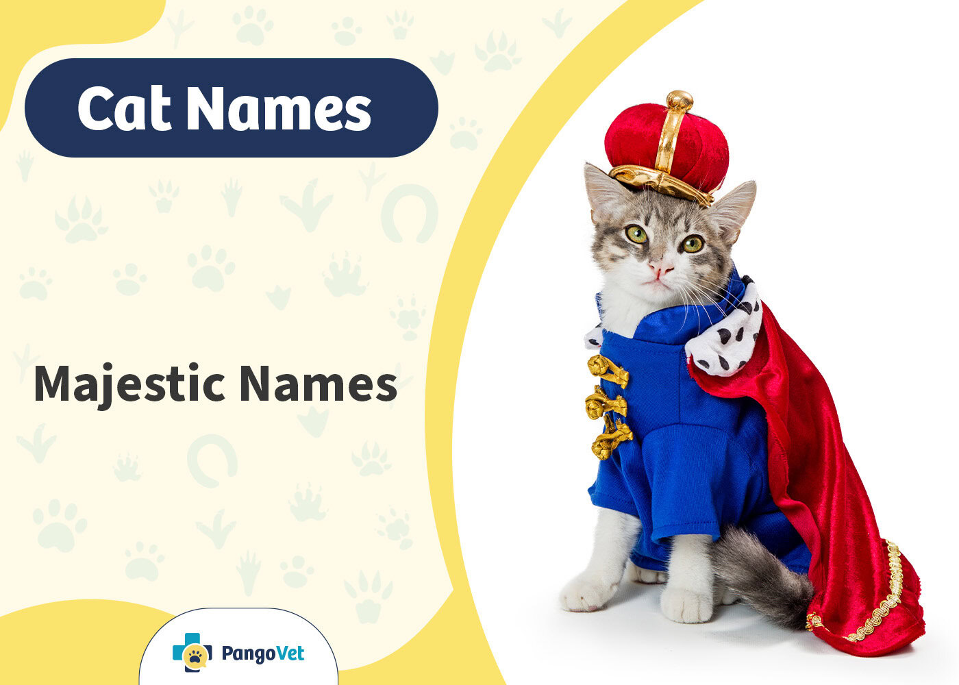 PangoVet_Majestic Cat Names