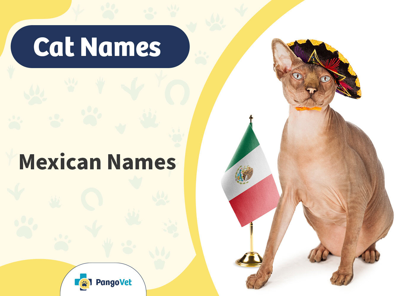 PangoVet_Mexican Cat Names