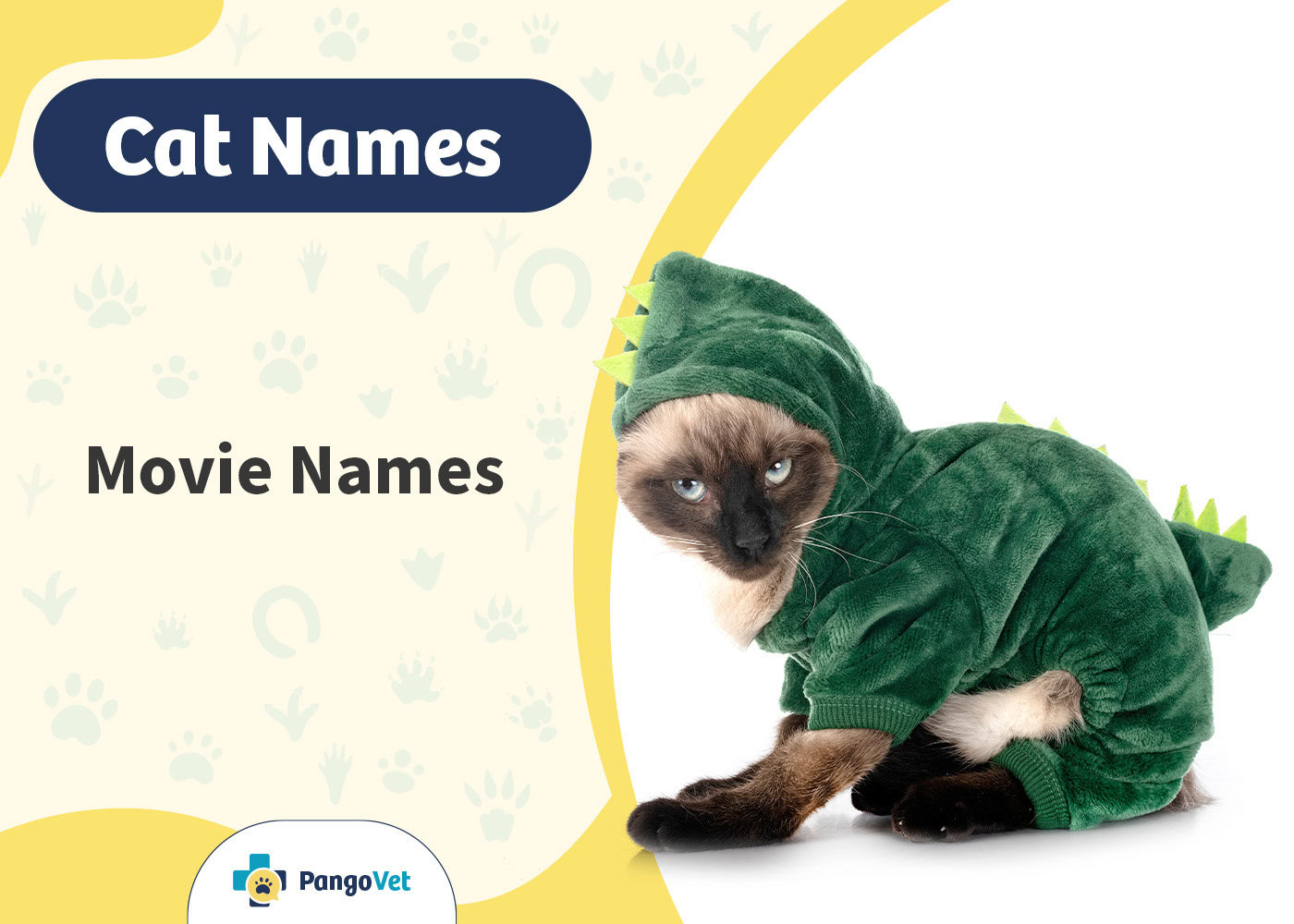 How Much Does It Cost to Clone a Cat? 2025 Facts & Considerations