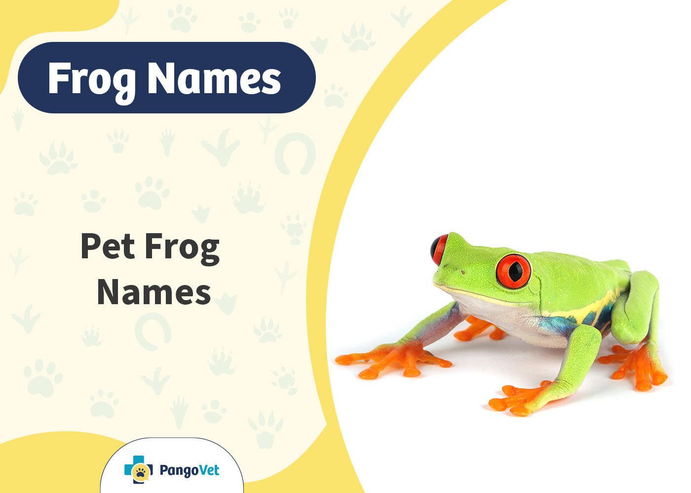 PangoVet_Pet Frog Names
