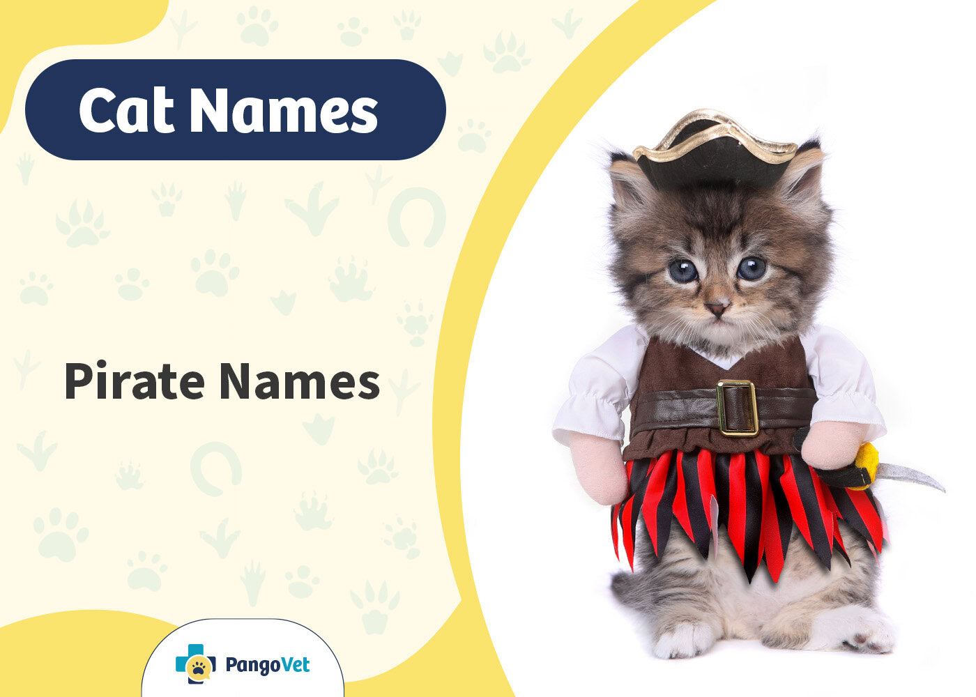 PangoVet_Pirate Cat Names