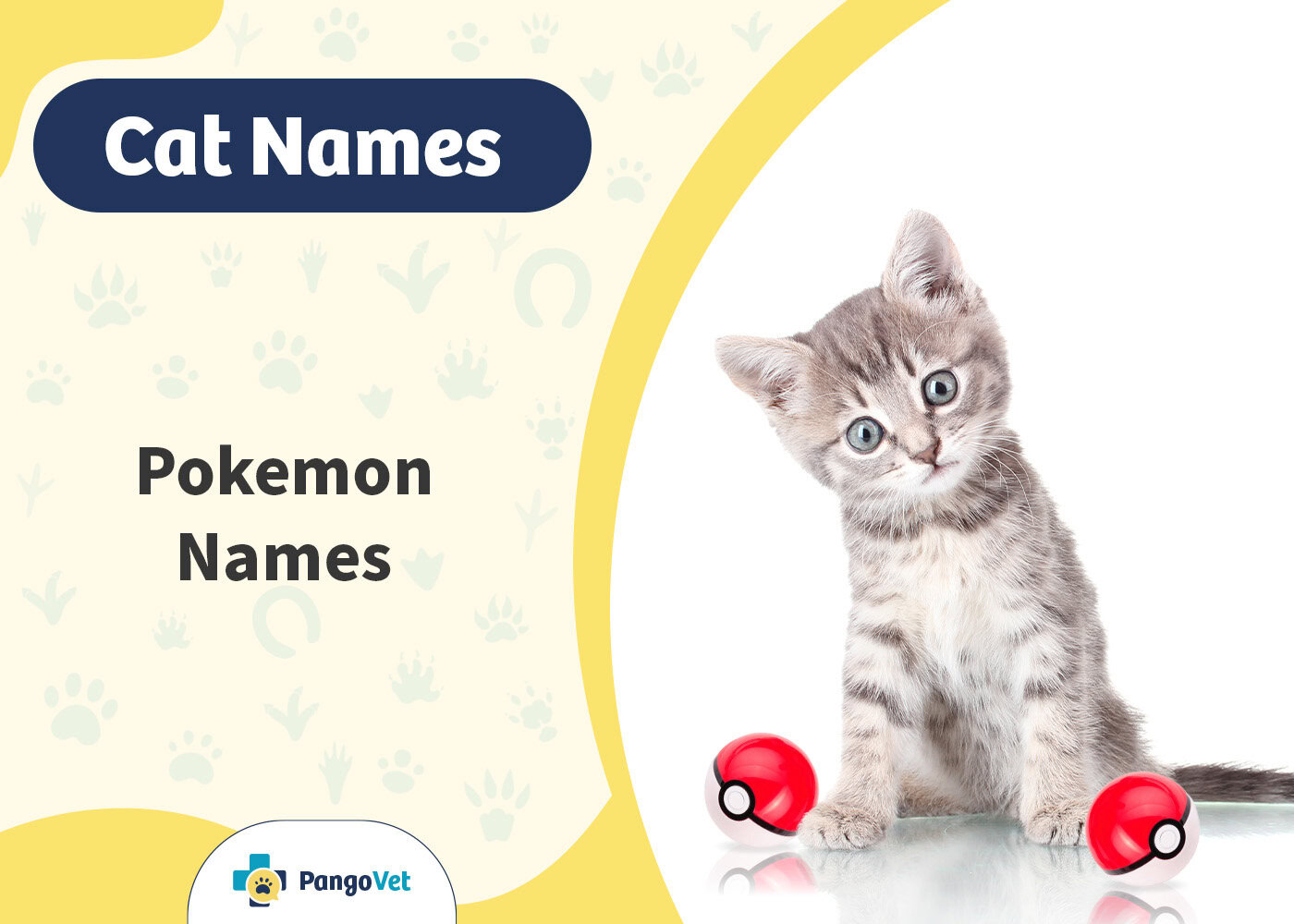 PangoVet_Pokemon Cat Names