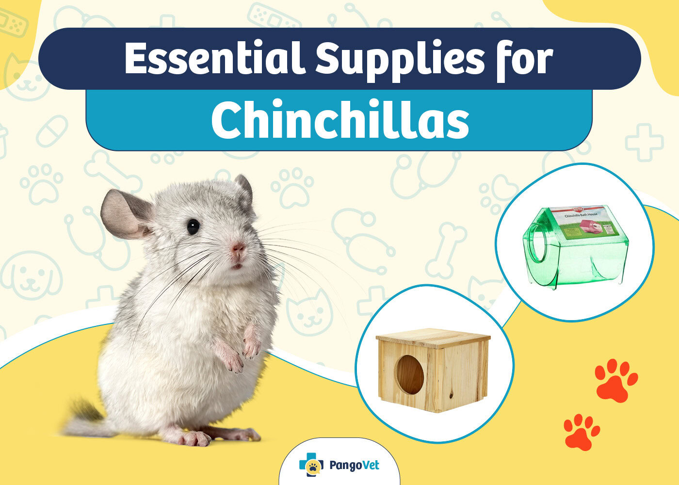 PangoVet_Essential Chinchillas Supplies