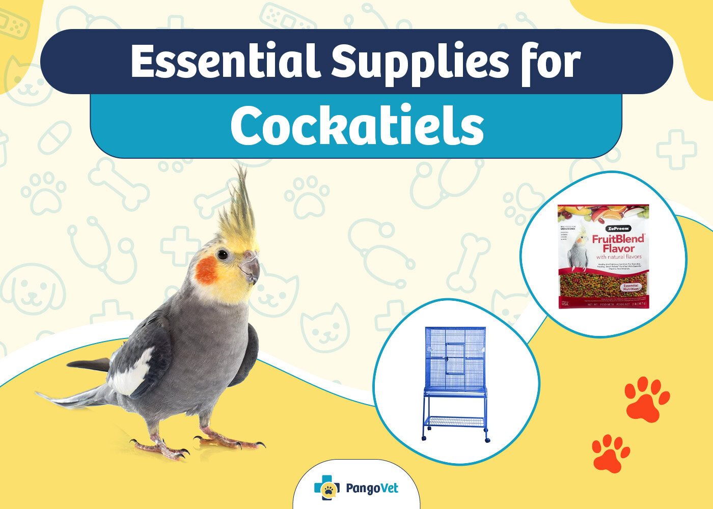 PangoVet_Essential Cockatiel Supplies