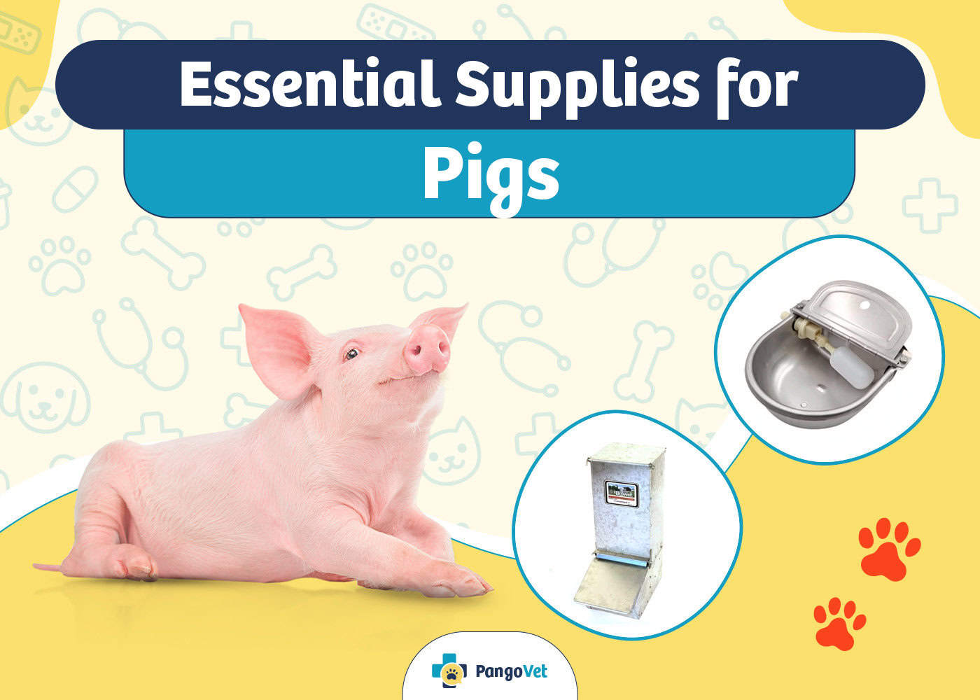 PangoVet_Essential Pig Supplies