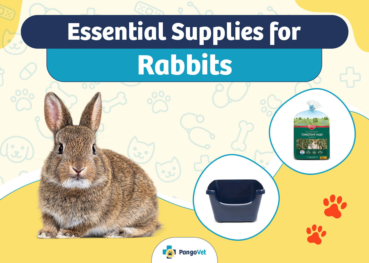 16 Essential Rabbit Supplies to Get You Started 2024 Vet Reviewed Guide PangoVet