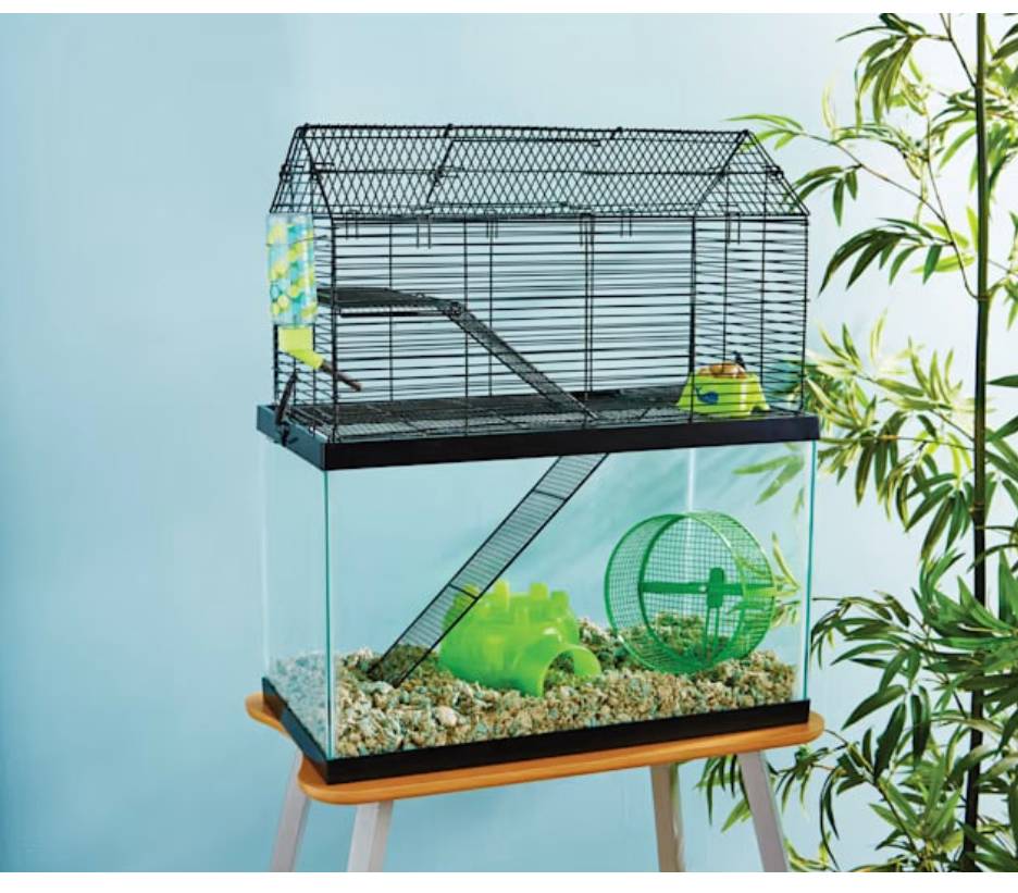 6 Best Cages for Pet Mice in 2024 Reviews & Top Picks PangoVet