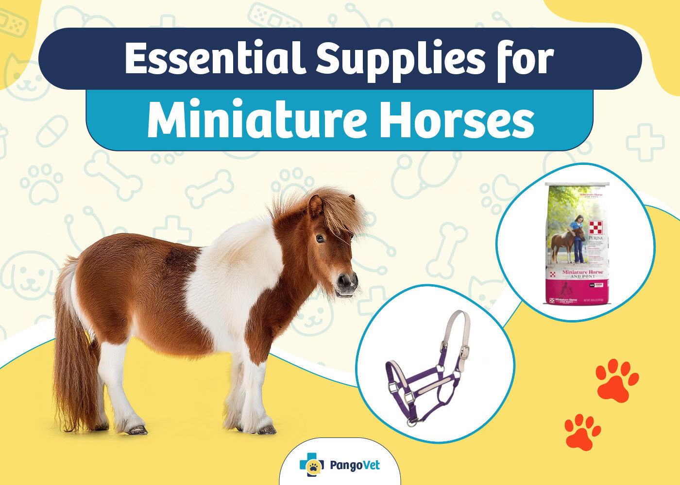 PangoVet_Essential Miniature Horse Supplies