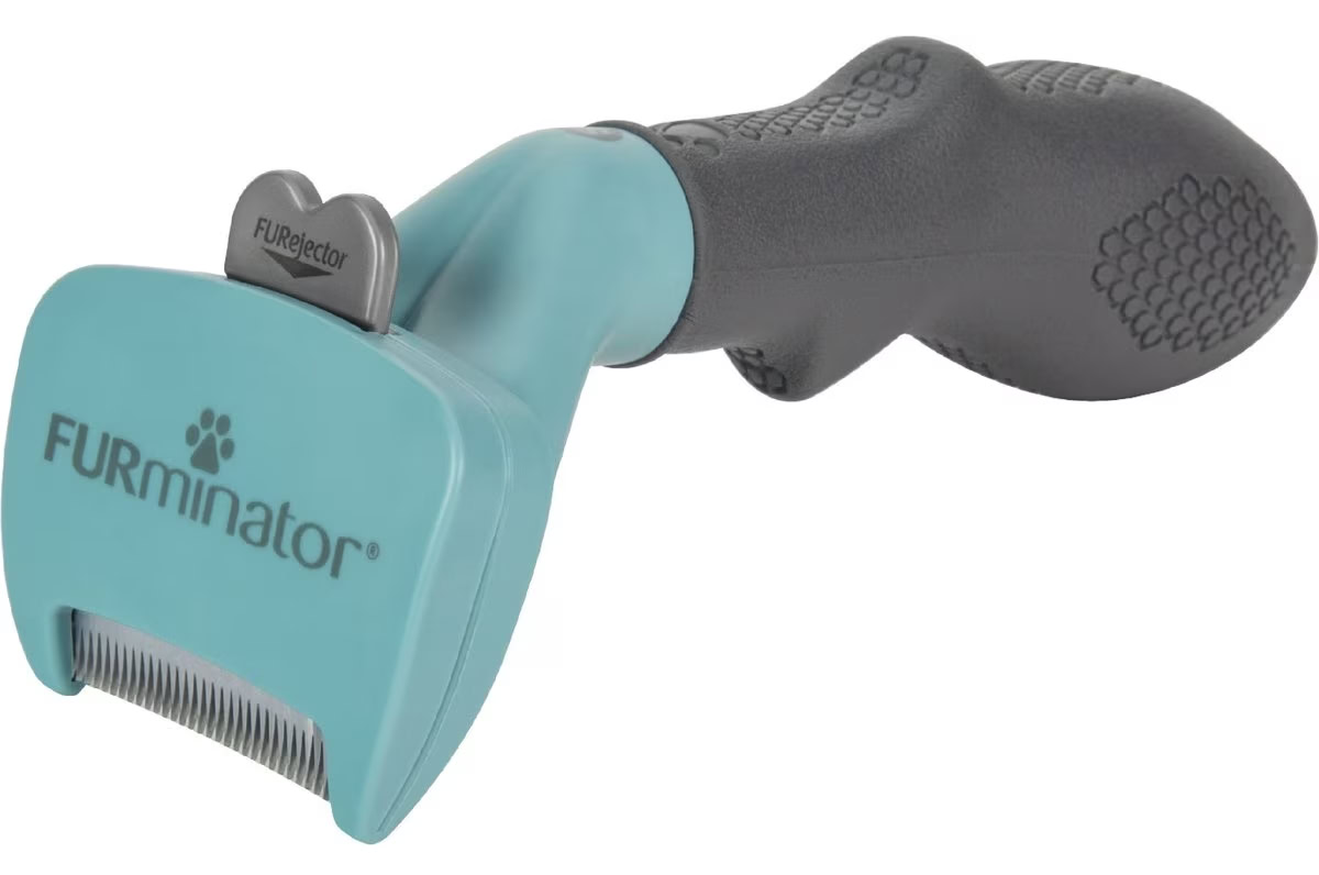 10 Best Brushes for Ragdolls in 2024 Reviews & Top Picks PangoVet