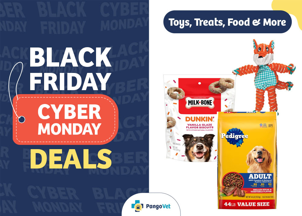 Petsmart cyber monday 2018 hotsell