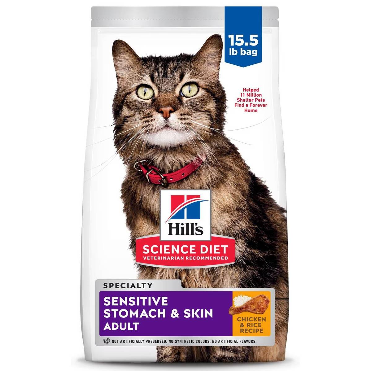 Best dry cat food for throwing up best sale