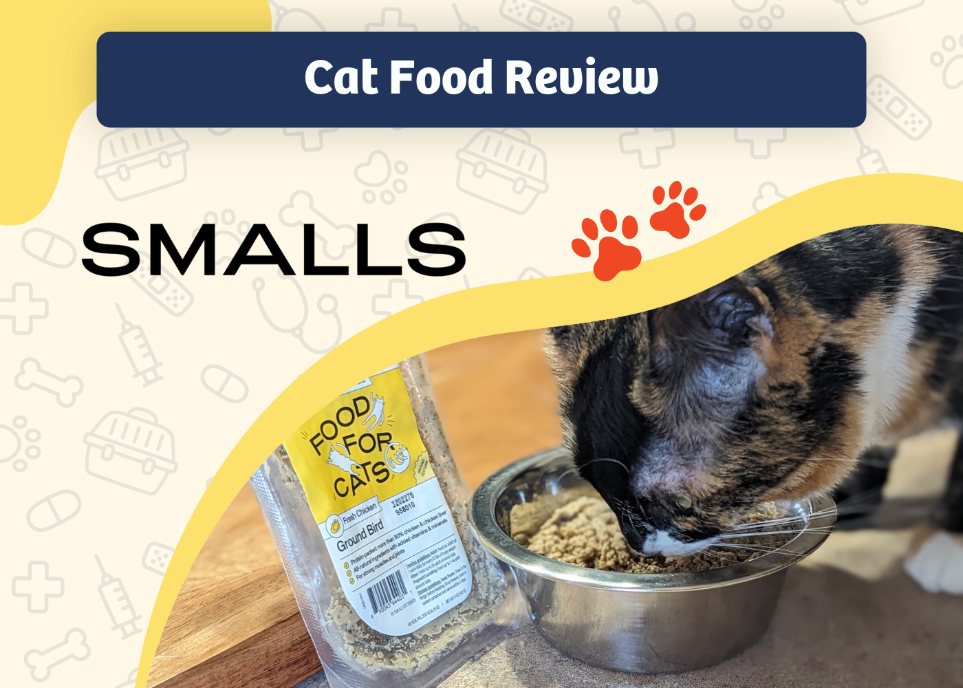 Cat food delivery service best sale