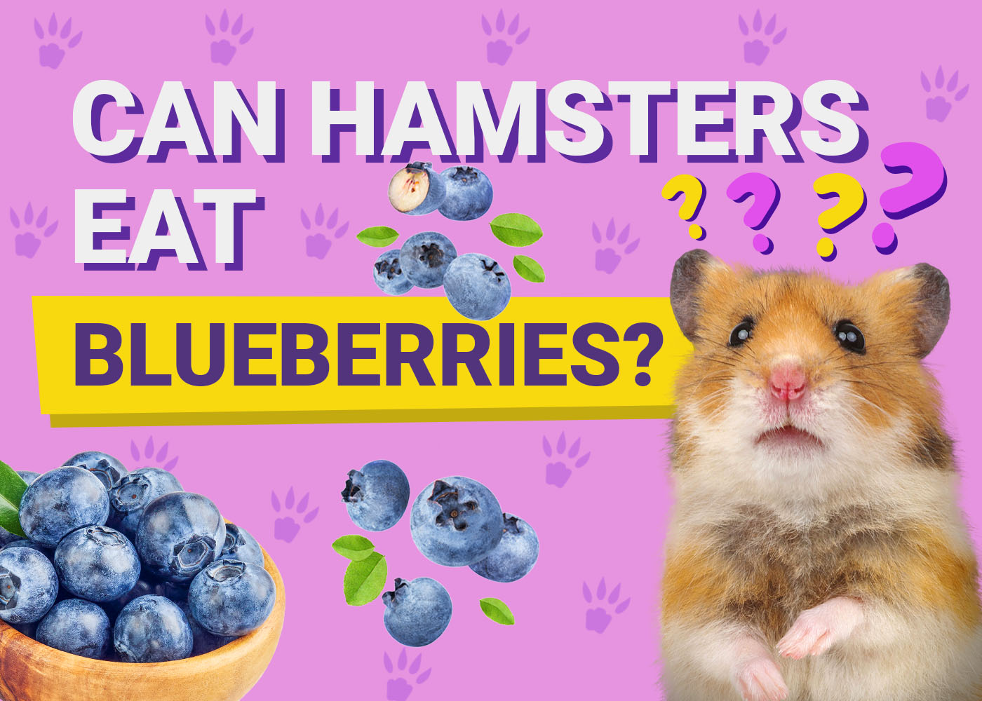 Can Hamsters Eat Blueberries? Vet-Approved Nutritional Science 