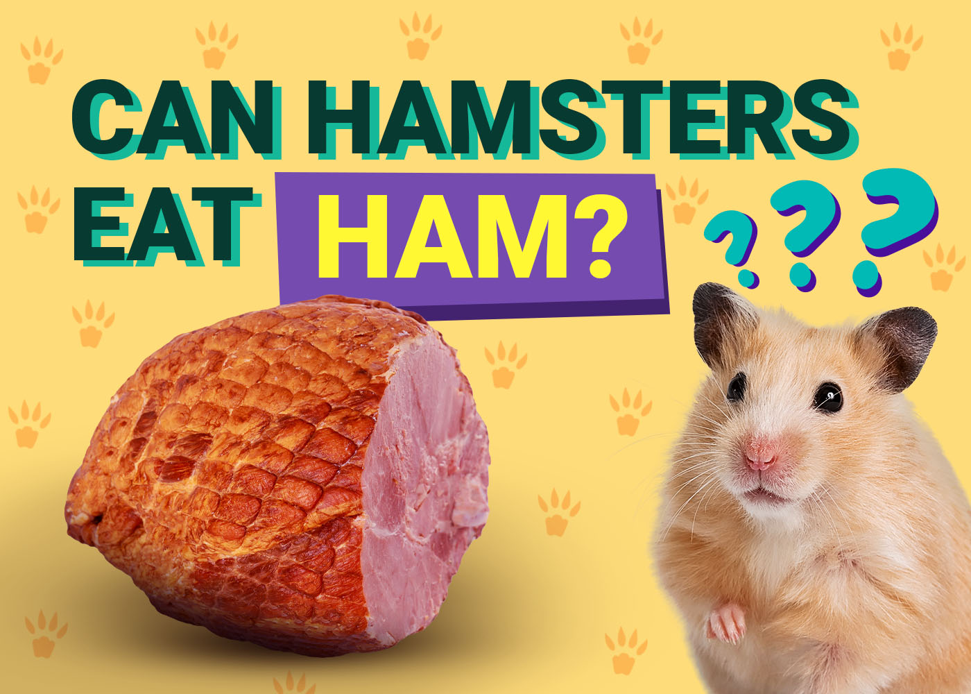 Hamster's Cage Can Dwarf Hamsters Eat Blueberries What Kind