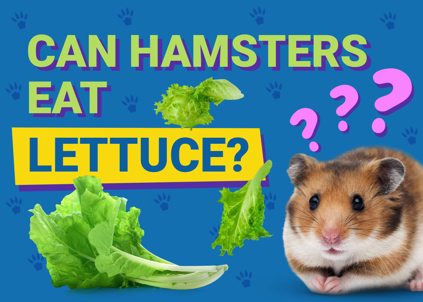 Can Hamsters Eat Lettuce? Vet-Approved Nutritional Science &amp; Info 