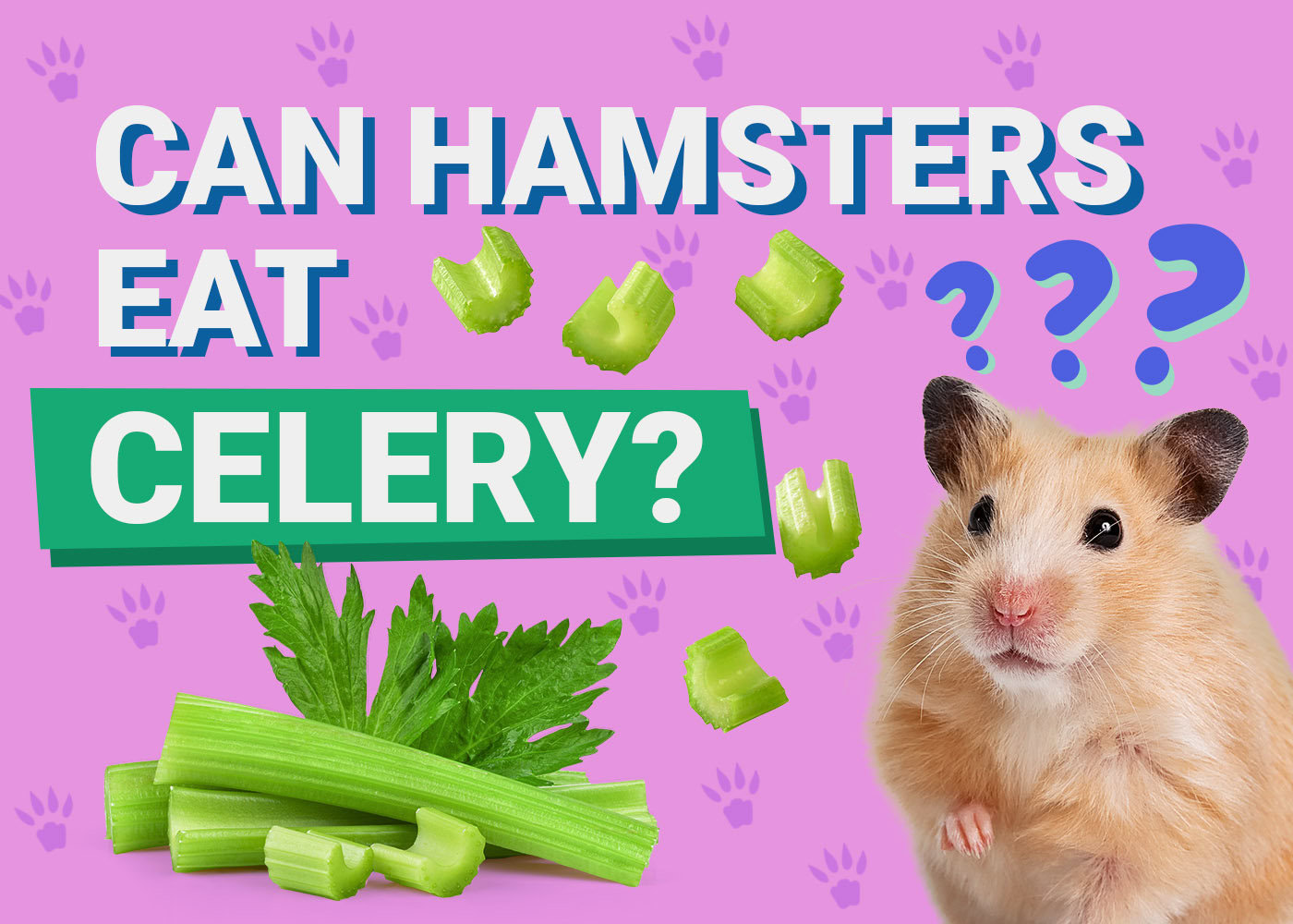 Can Hamsters Eat Celery? Nutrition Facts &amp; FAQ | PangoVet