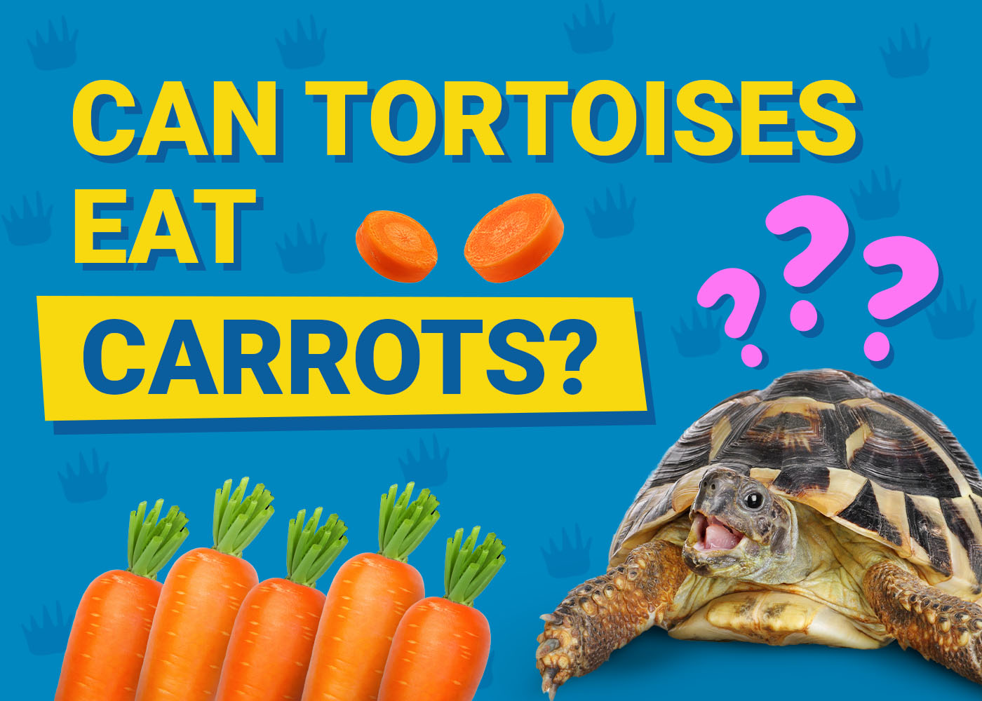 Can Tortoises Eat Carrots? Vet-Approved Health Facts &amp; FAQ | PangoVet