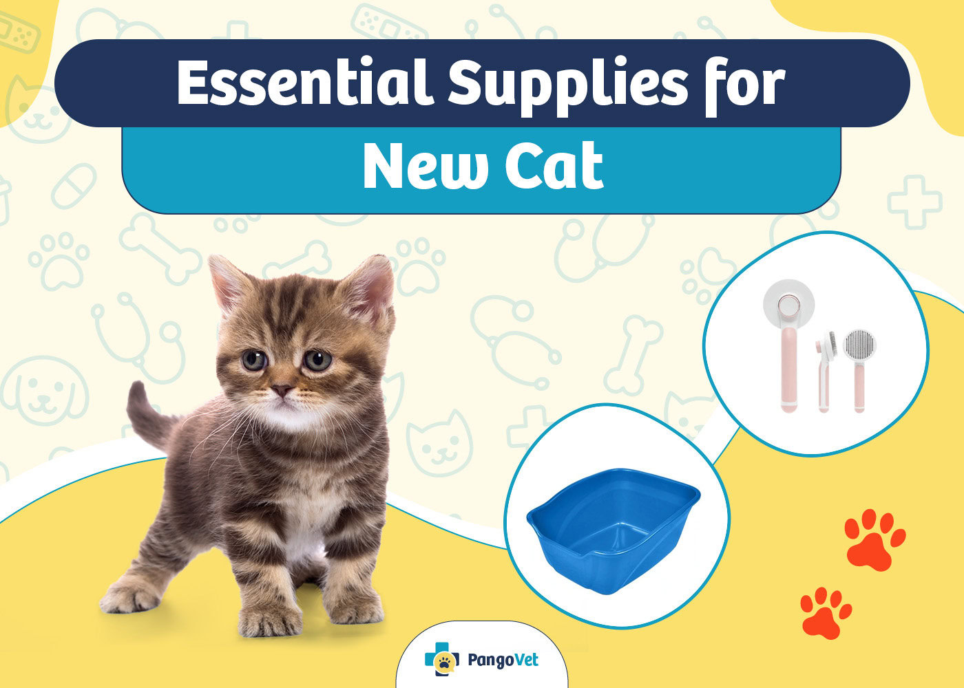 Aquarium Safe Paint Types, Considerations & How to Guide PangoVet