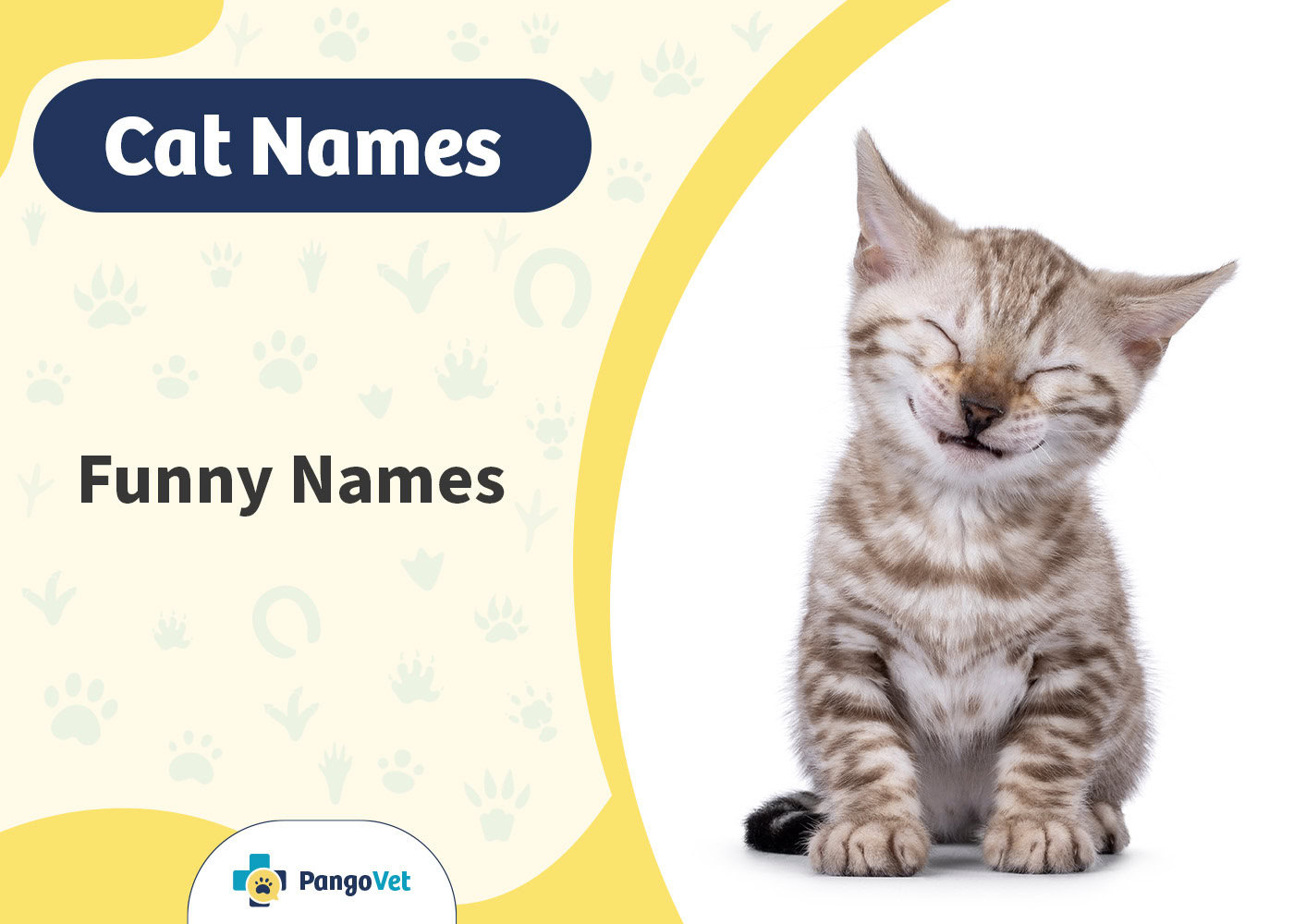 PangoVet_Funny Cat Names