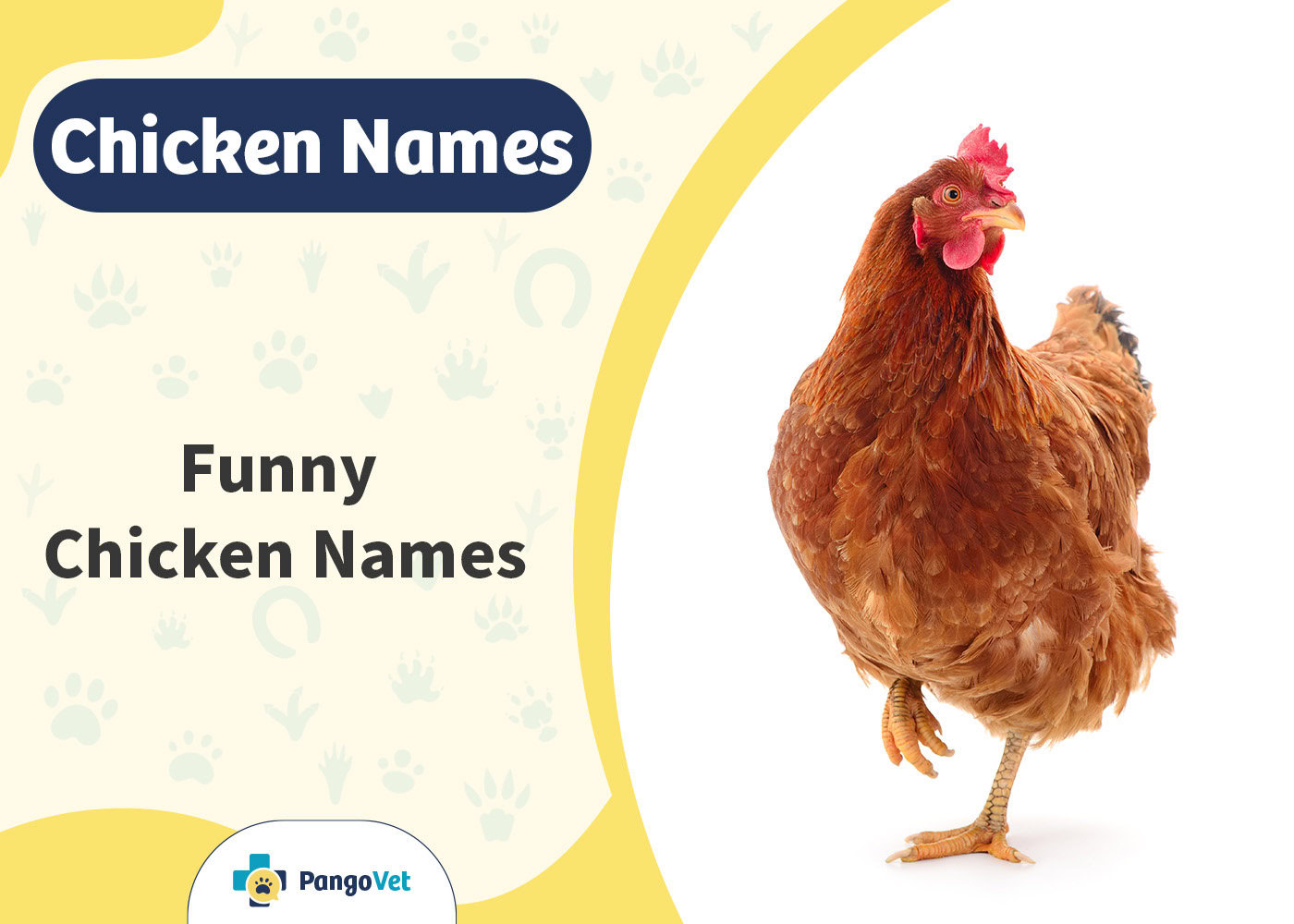 PangoVet_Funny Chicken Names
