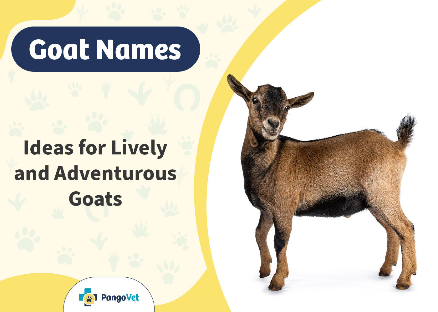 PangoVet_Goat Names