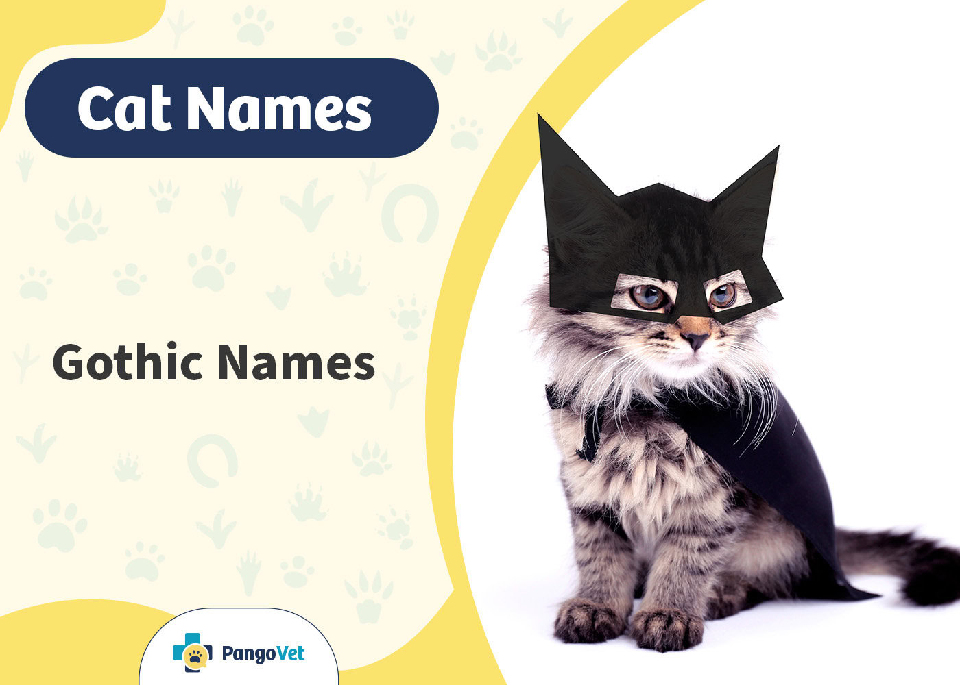 PangoVet_Gothic Cat Names