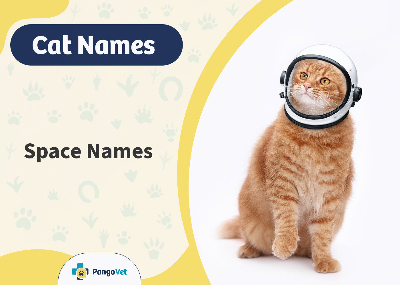 PangoVet_Space Cat Names