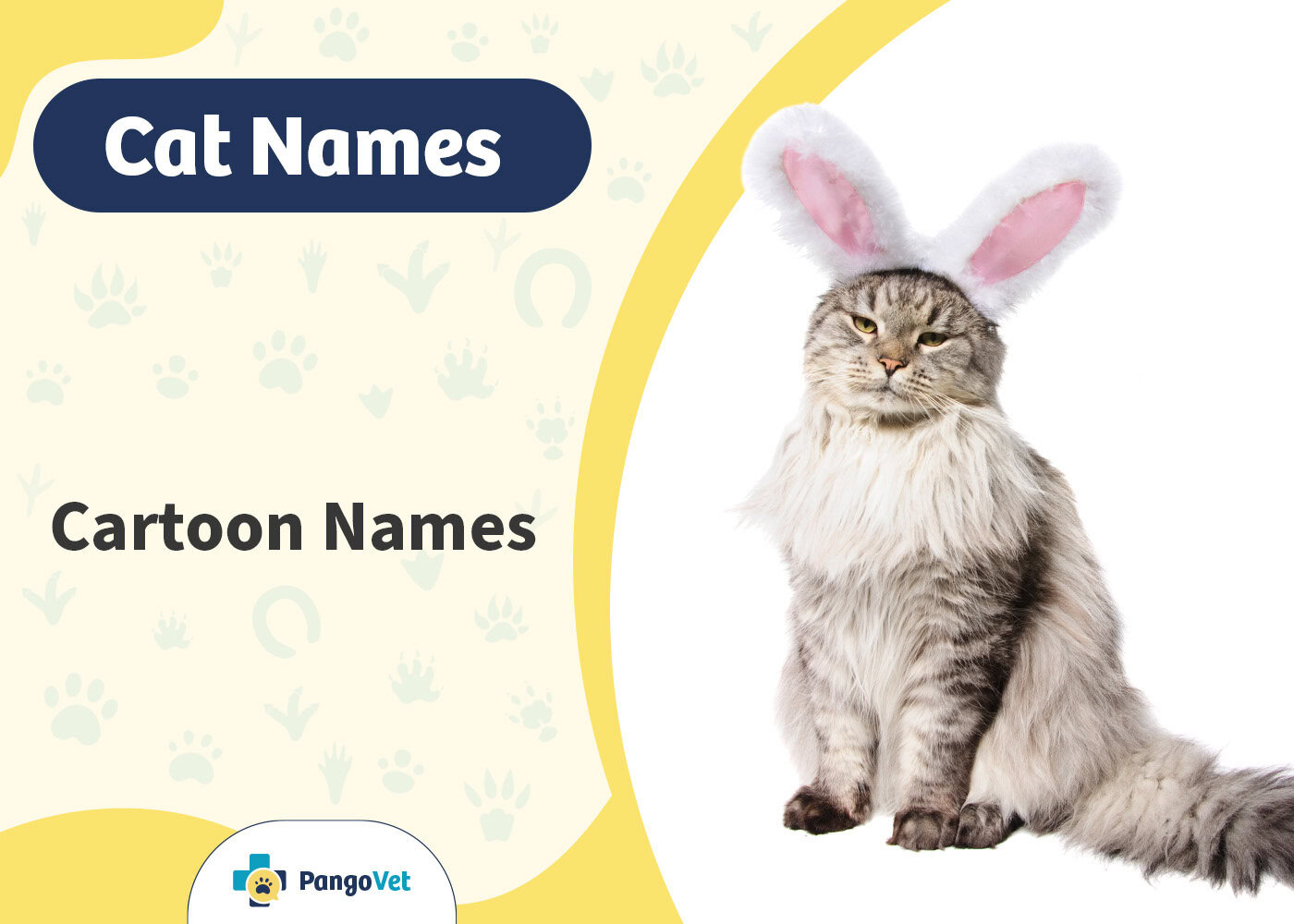 PangoVet_Cartoon Cat Names
