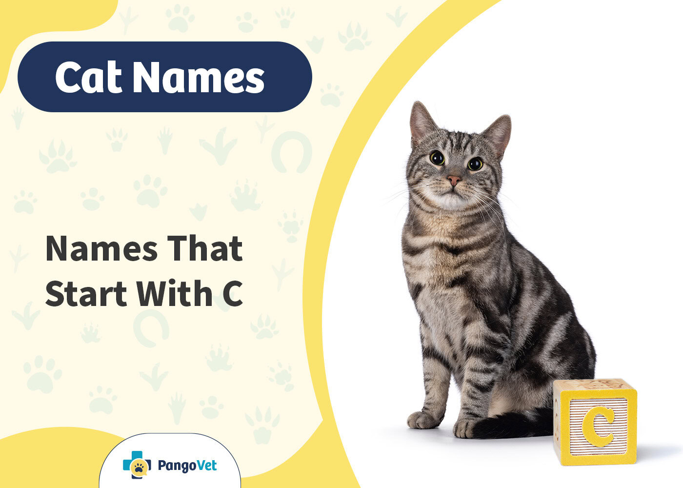 PangoVet_Cat Names that Start with C