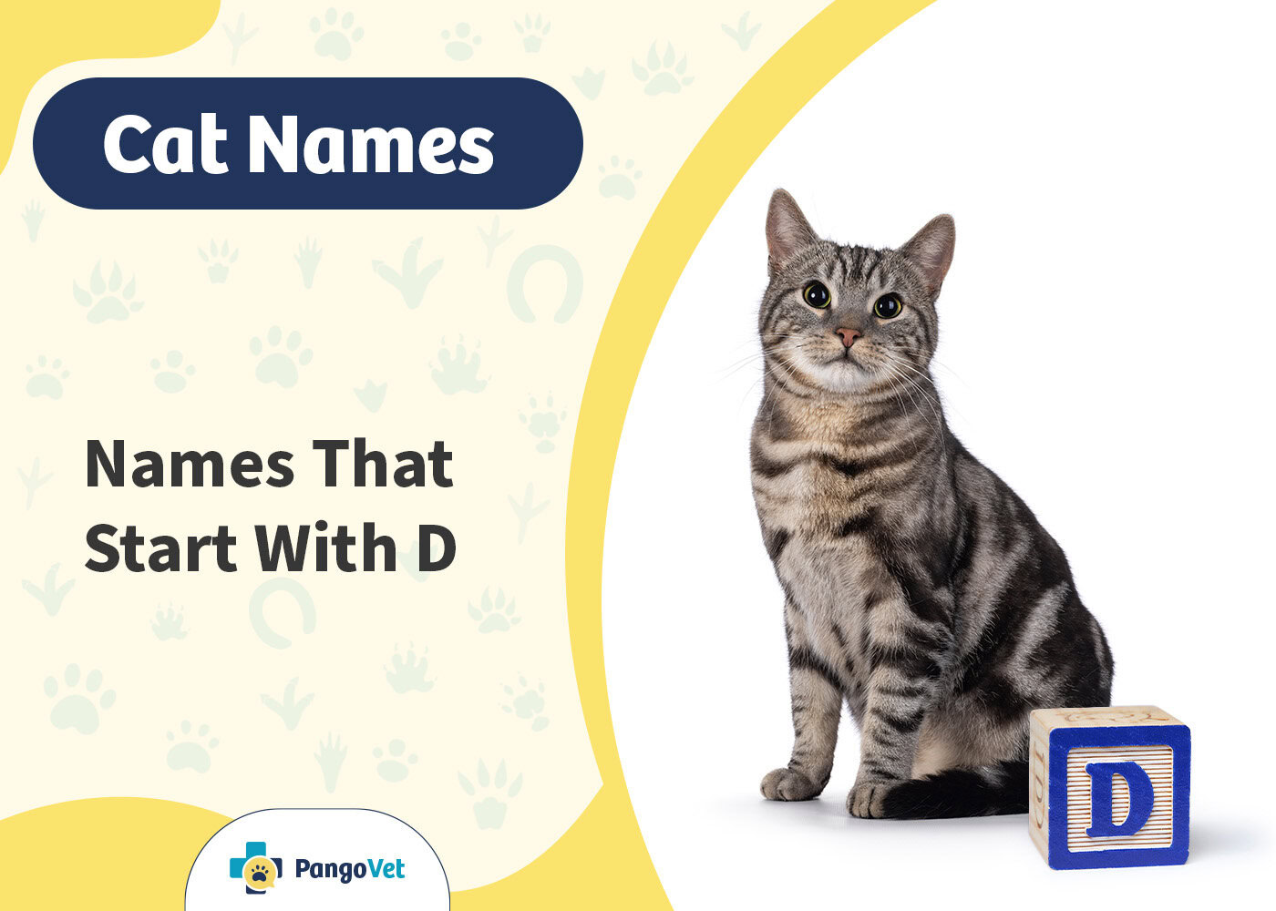 PangoVet_Cat Names that Start with D