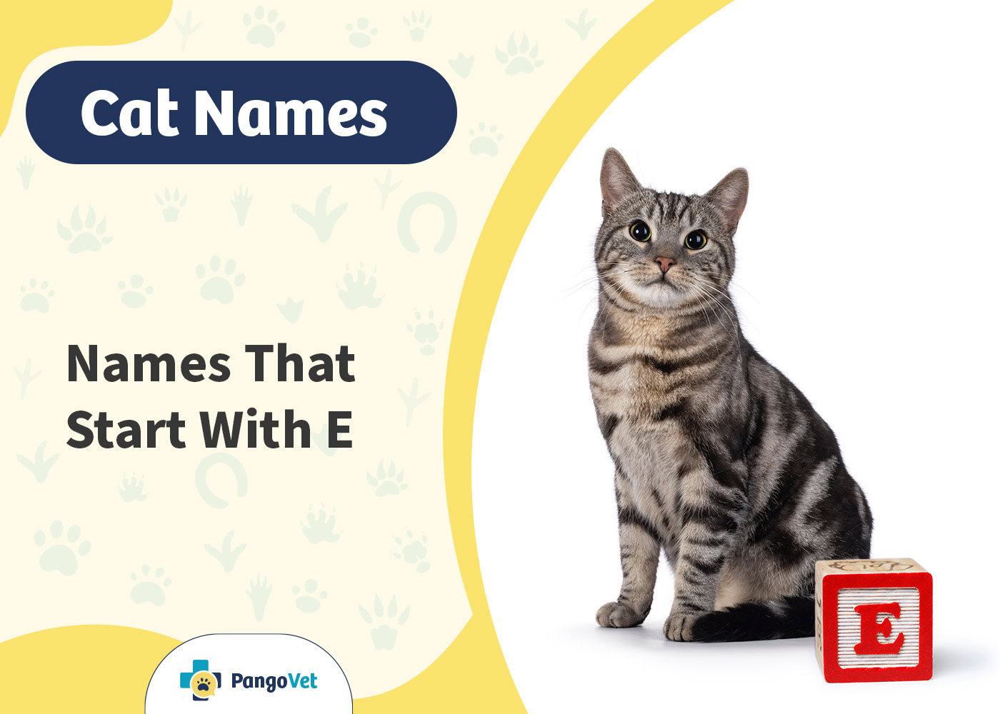 PangoVet_Cat Names that Start with E
