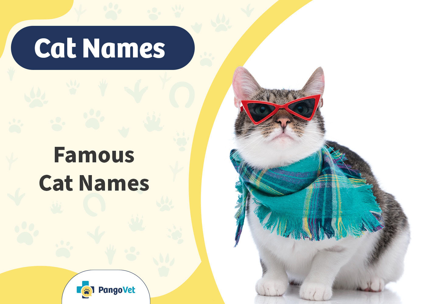 PangoVet_Famous Cat Names
