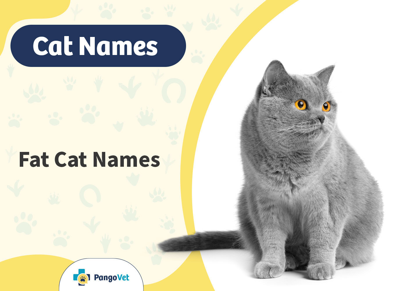 PangoVet_Fat Cat Names