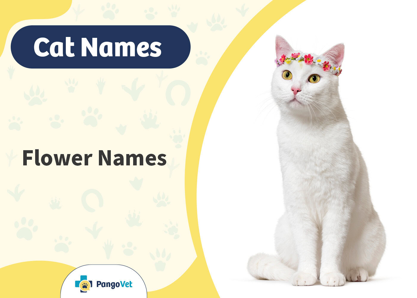 PangoVet_Flower Cat Names