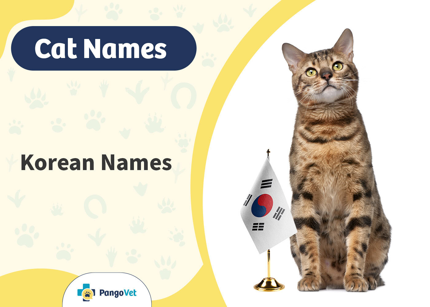 PangoVet_Korean Cat Names