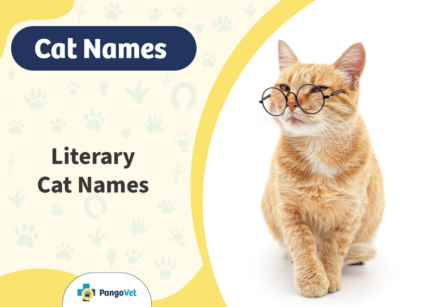 PangoVet_Literary Cat Names